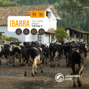 Tour Ibarra Mágico 2